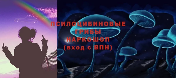 дурь Ивантеевка
