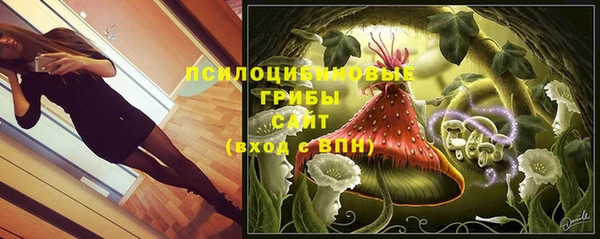 spice Верея