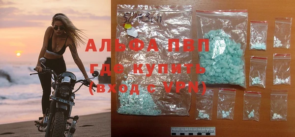 spice Верея