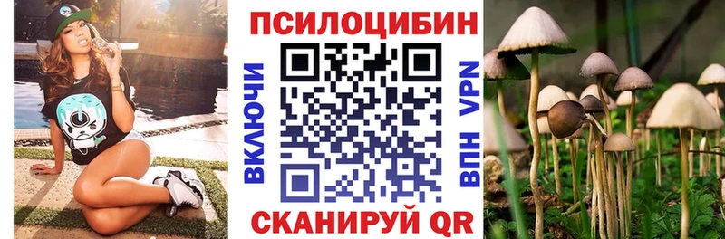 кракен маркетплейс  Семёнов  Псилоцибиновые грибы мухоморы  darknet какой сайт  где можно купить  